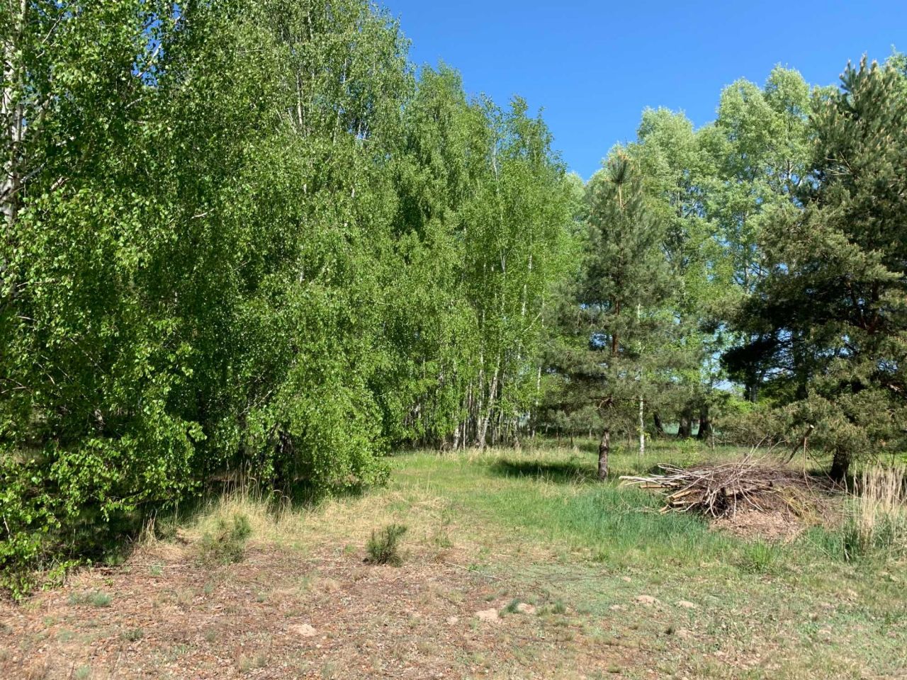 Działka rekreacyjna Lipnica. Zdjęcie 5