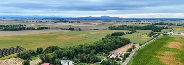 dom wolnostojący, 4 pokoje Danielowice. Zdjęcie 1