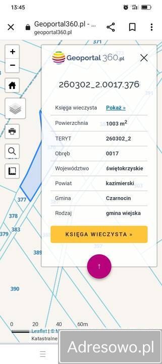 Działka rolna Soboszów. Zdjęcie 6