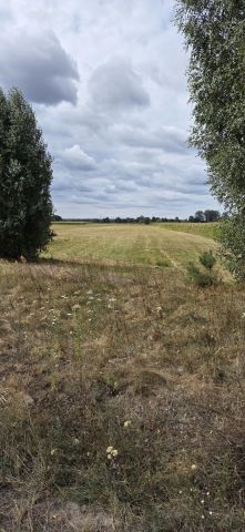 Działka rolna Pożarów. Zdjęcie 1