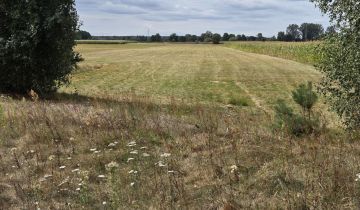 Działka rolna Pożarów