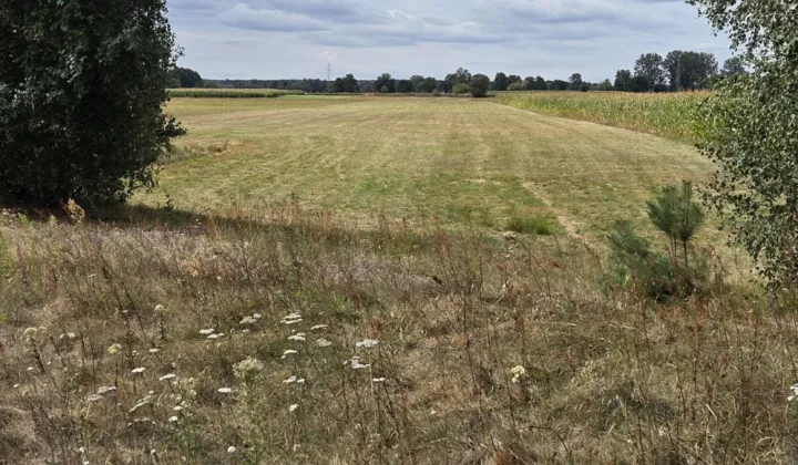 Działka rolna Pożarów