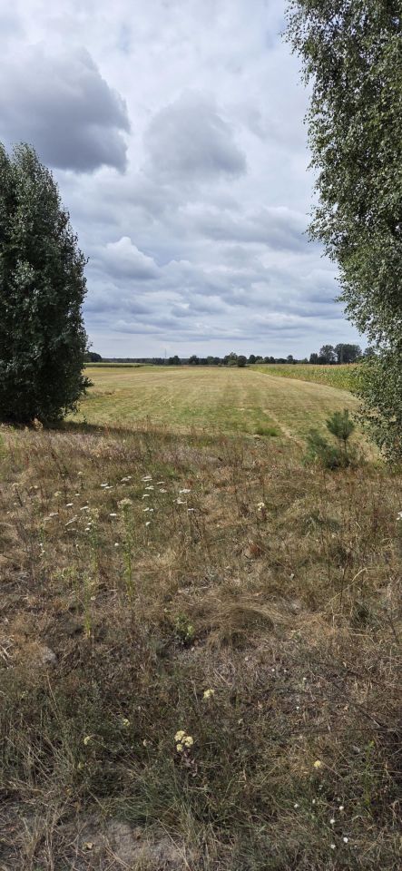 Działka rolna Pożarów