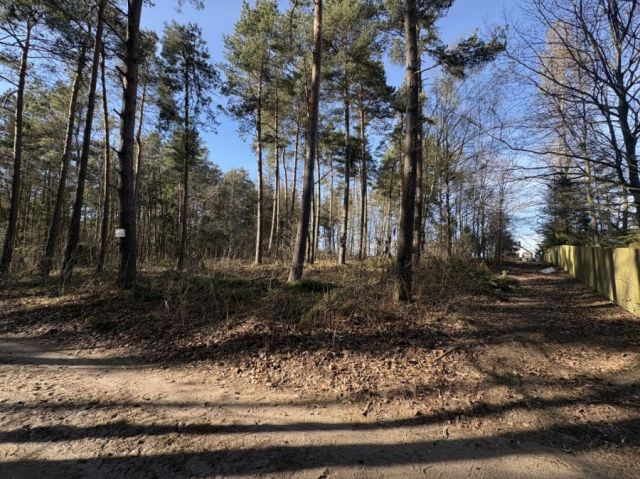 Działka leśna Żukowo. Zdjęcie 1