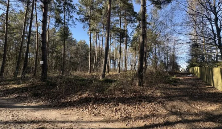 Działka leśna Żukowo