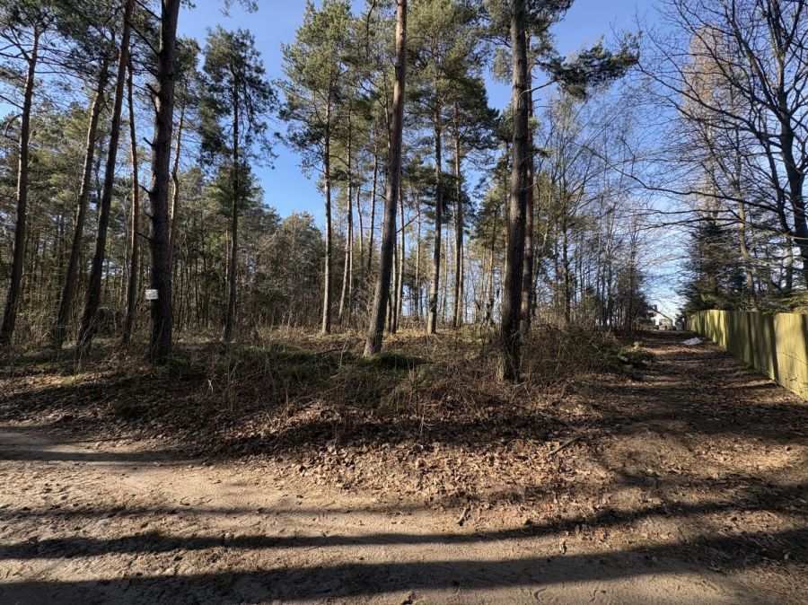 Działka leśna Żukowo. Zdjęcie 1