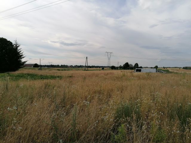 Działka rolna Pólko, Cyprysowa. Zdjęcie 1