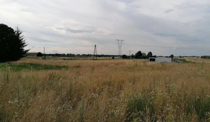 Działka rolna Pólko, Cyprysowa