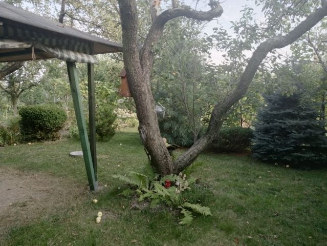 Działka rekreacyjna Leszno, ul. Wolińska. Zdjęcie 1