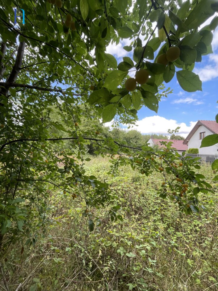 Działka inwestycyjna Bełchatów, ul. Józefa Piłsudskiego. Zdjęcie 5