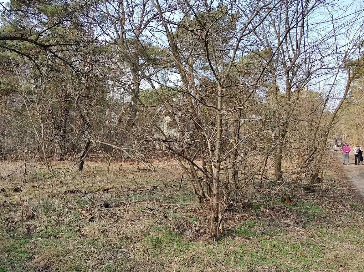 Działka budowlana Józefów Dębinka, ul. Owalna. Zdjęcie 5