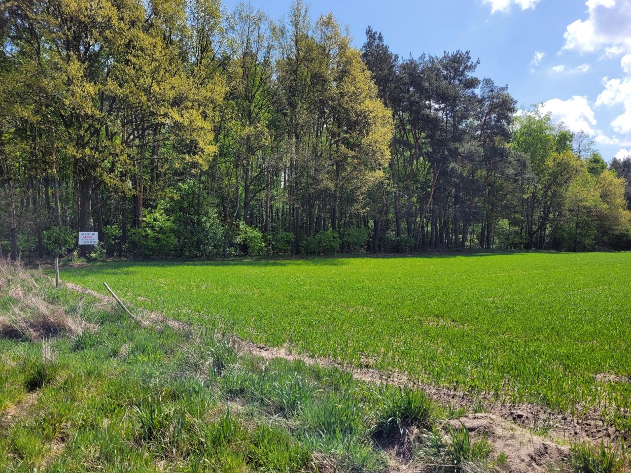 Działka rolno-budowlana Dzierżązna, ul. Graniczna. Zdjęcie 3