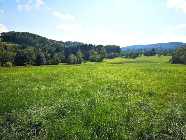 Działka rolna Szymbark. Zdjęcie 2