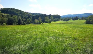 Działka rolna Szymbark