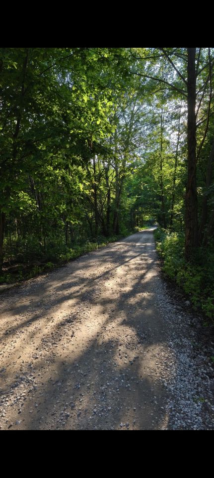 Działka budowlana Władków, ul. Szkocka. Zdjęcie 3