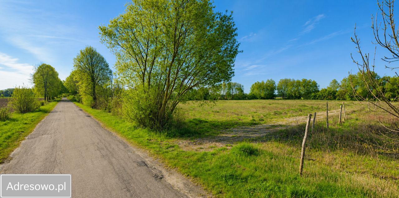 Działka budowlana Płaciszewo. Zdjęcie 1
