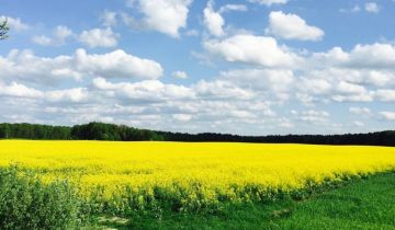 Działka rolna Kaplonosy-Kolonia