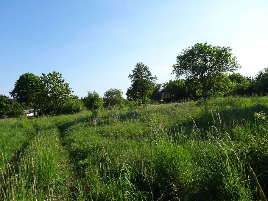 Działka budowlana Binowo. Zdjęcie 16