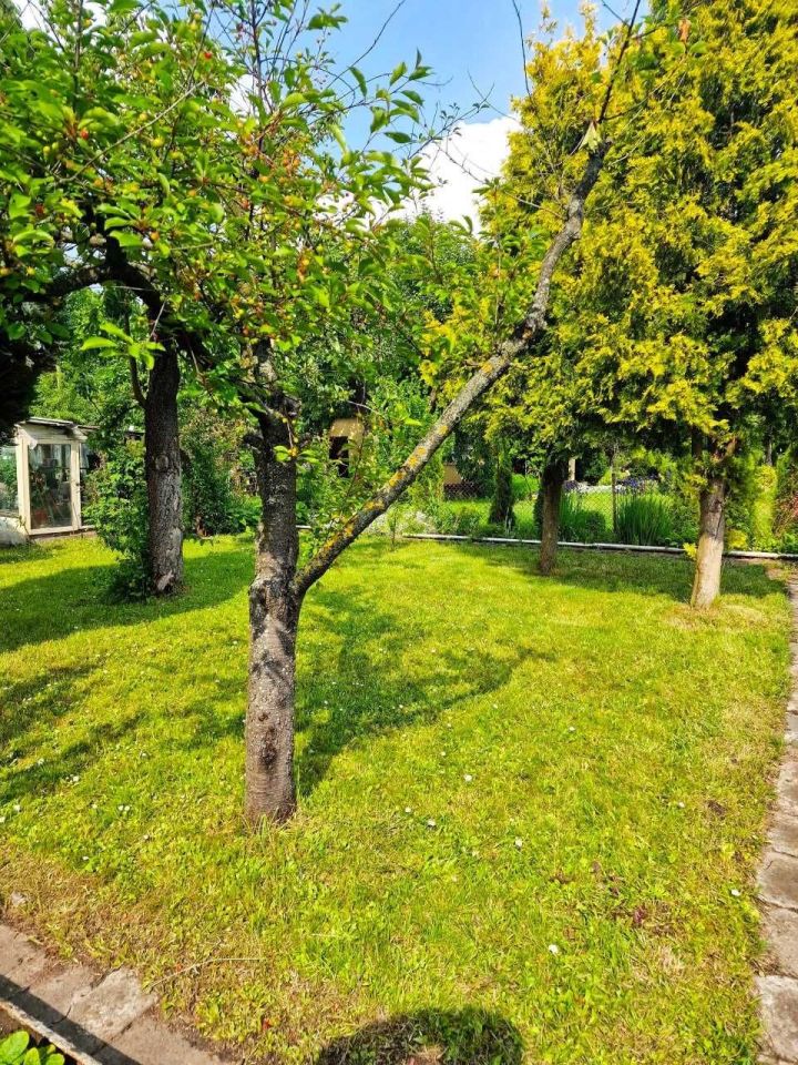 Działka rod Bydgoszcz, ul. Toruńska. Zdjęcie 6