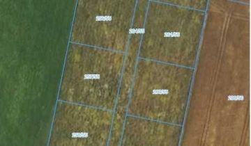 Działka budowlana Sieraków Śląski, ul. Wyzwolenia