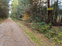 Działka rolno-budowlana Basinów, ul. Letniskowa. Zdjęcie 2