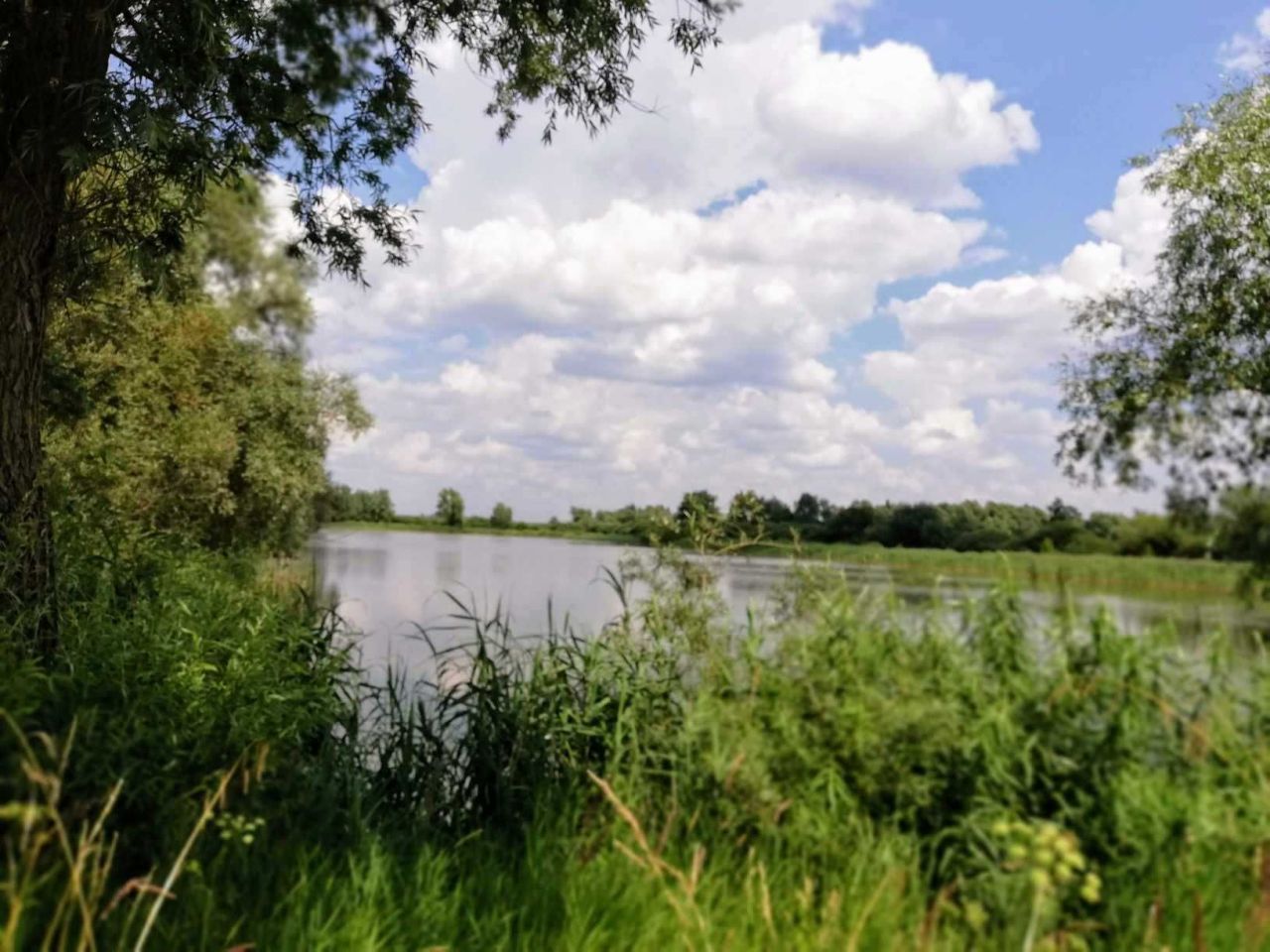 Działka rolna Dębina. Zdjęcie 5