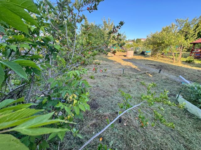 Działka rekreacyjna Olsztyn Zatorze. Zdjęcie 1