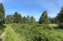 Działka rolna Trzebule. Zdjęcie 4