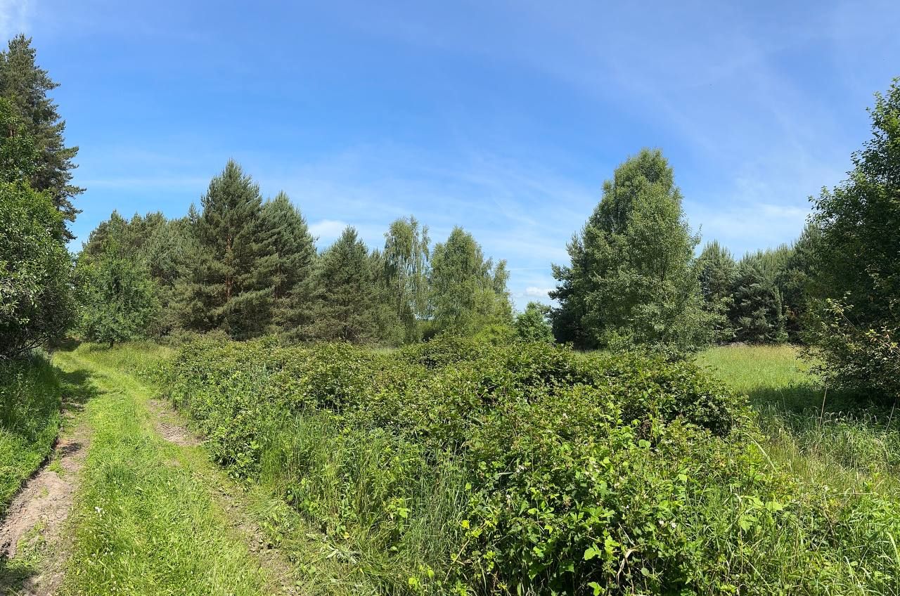 Działka rolna Trzebule. Zdjęcie 5