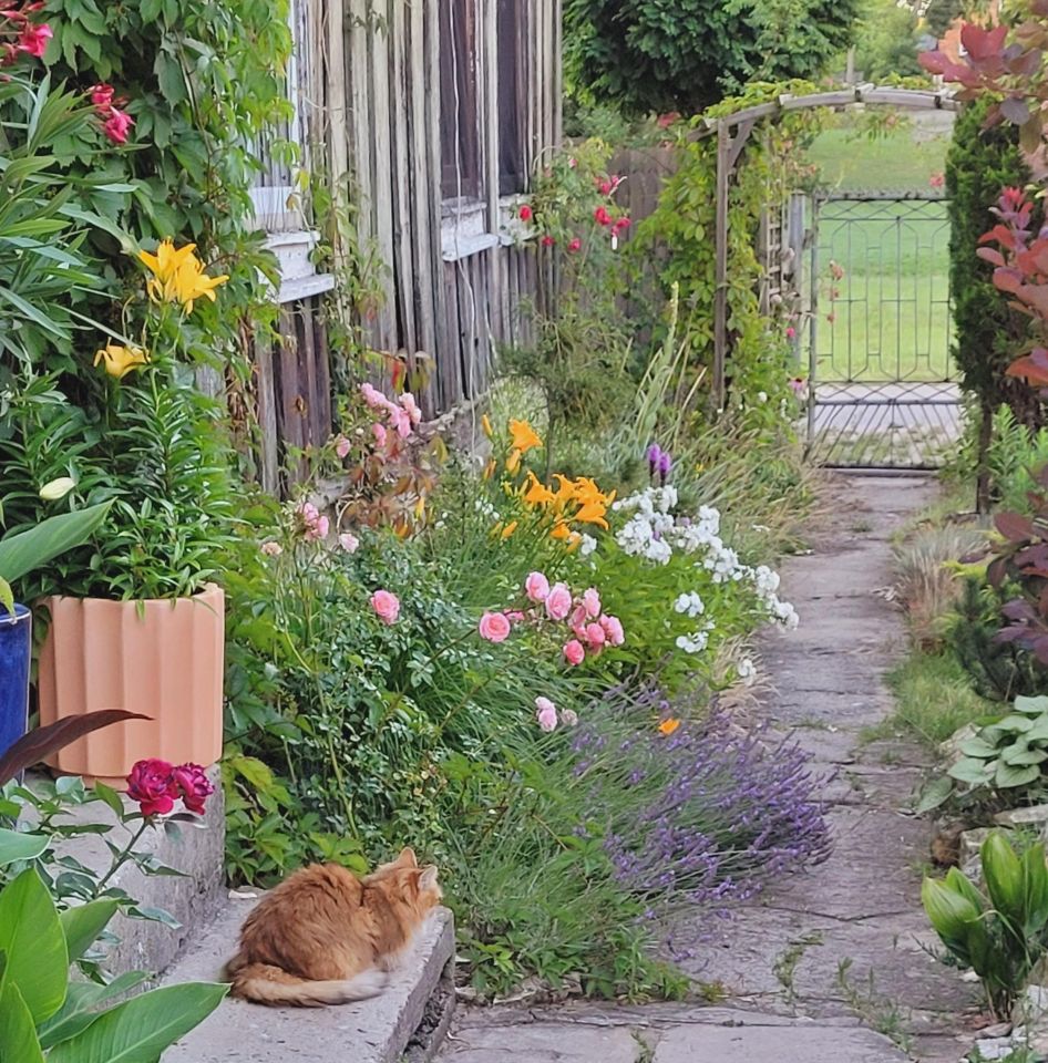 dom wolnostojący, 2 pokoje Włodowice, N. Zdjęcie 27