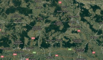 Działka leśna Wydrze