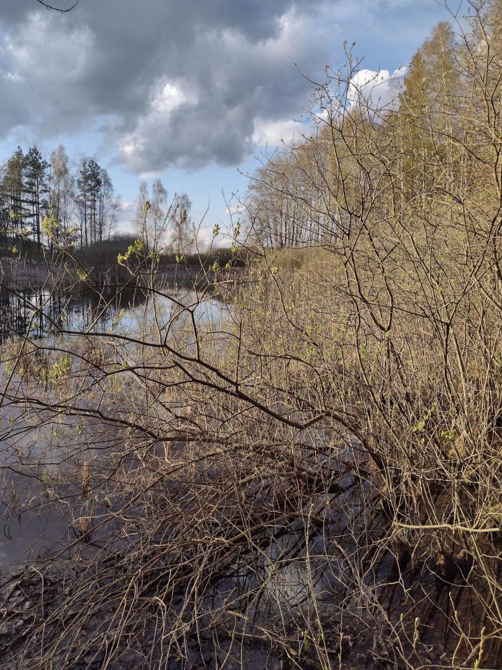 Działka budowlana Łąg, ul. Dworcowa. Zdjęcie 8