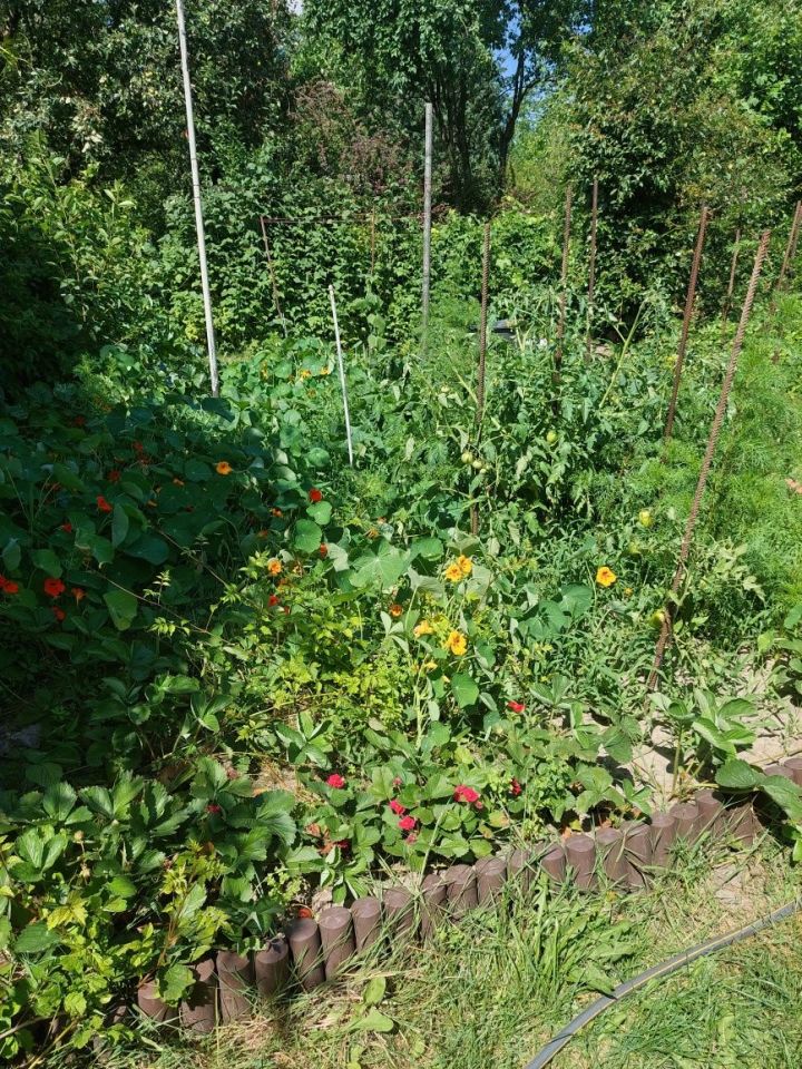 Działka rod Warszawa Ochota, ul. Wawelska. Zdjęcie 5