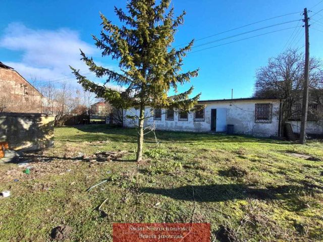 Hala/magazyn Lizawice. Zdjęcie 6