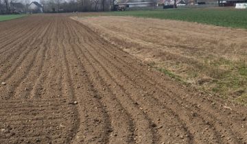 Działka rolna Niwnica