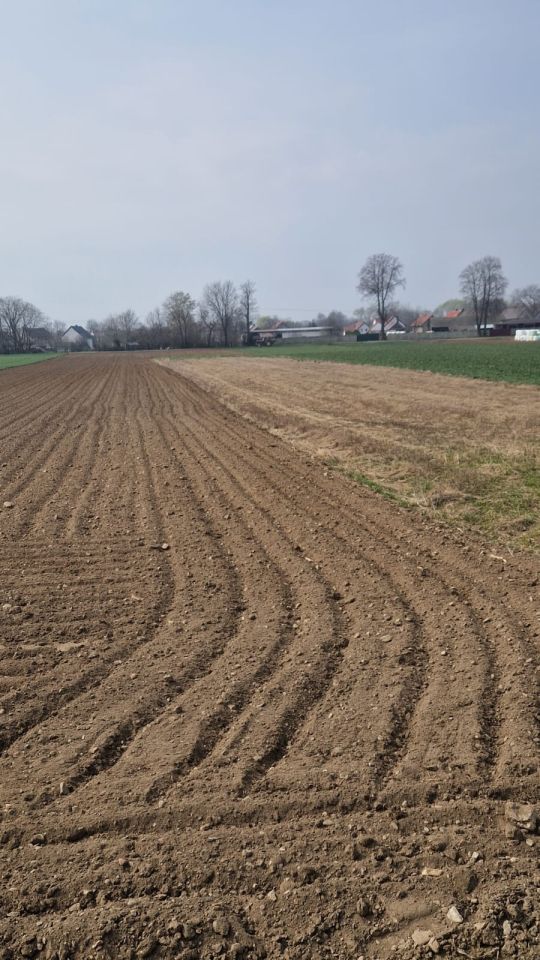 Działka rolna Niwnica. Zdjęcie 2