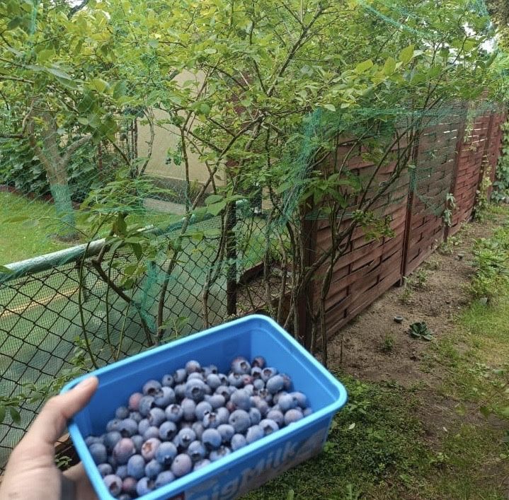 Działka rod Częstochowa Grabówka, ul. Ikara. Zdjęcie 3