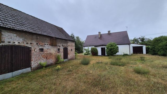 Działka siedliskowa Chojno-Błota Małe. Zdjęcie 6