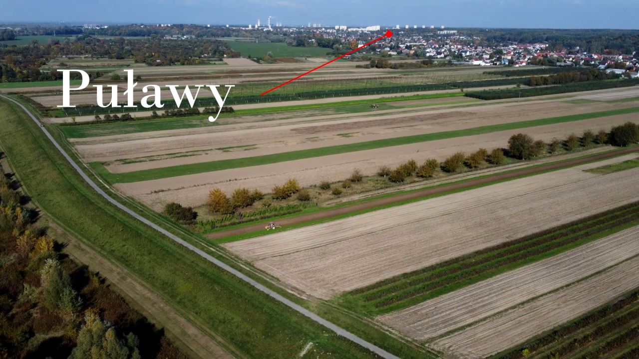 Działka rolno-budowlana Puławy Włostowice, ul. Włostowicka. Zdjęcie 12