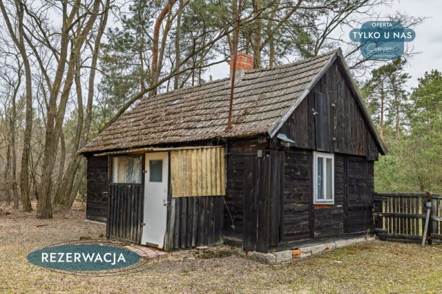 Działka leśna Kije. Zdjęcie 9