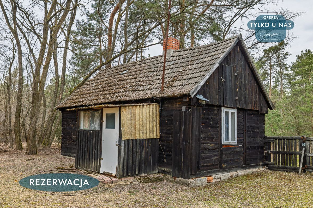 Działka leśna Kije. Zdjęcie 9