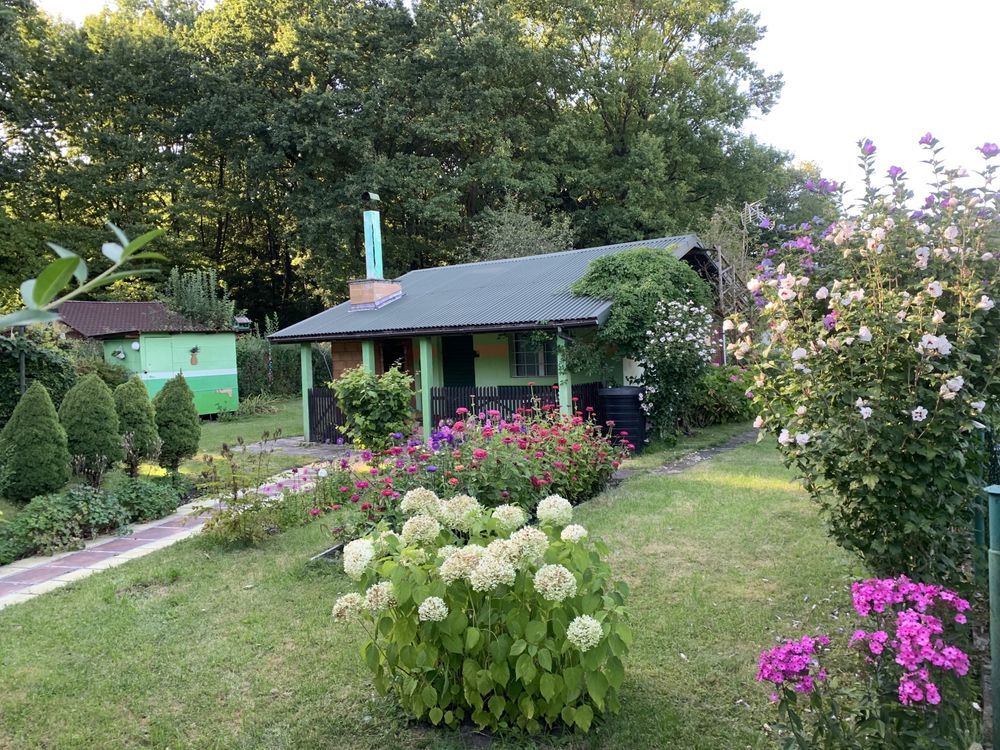 Działka rod Tychy, ul. Skalna