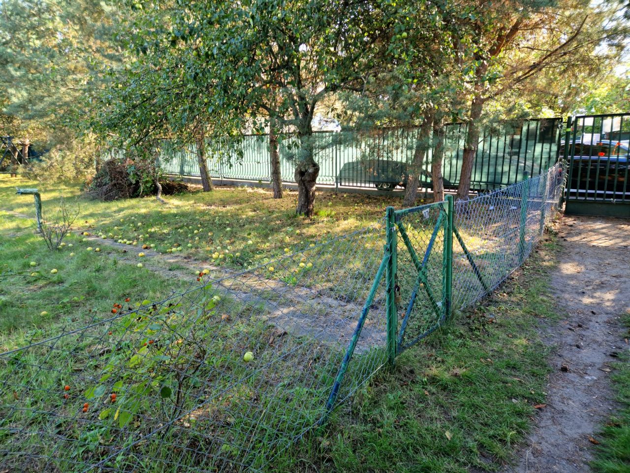 Działka rod Wrocław Krzyki, ul. Borowska. Zdjęcie 6