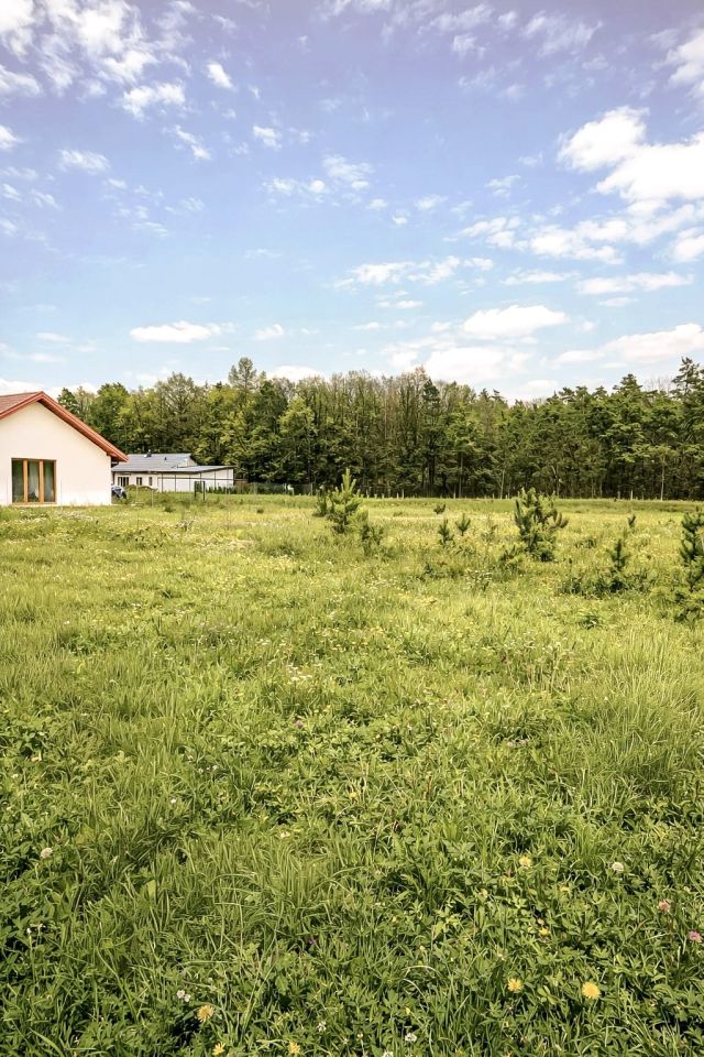 Działka budowlana Guty. Zdjęcie 1