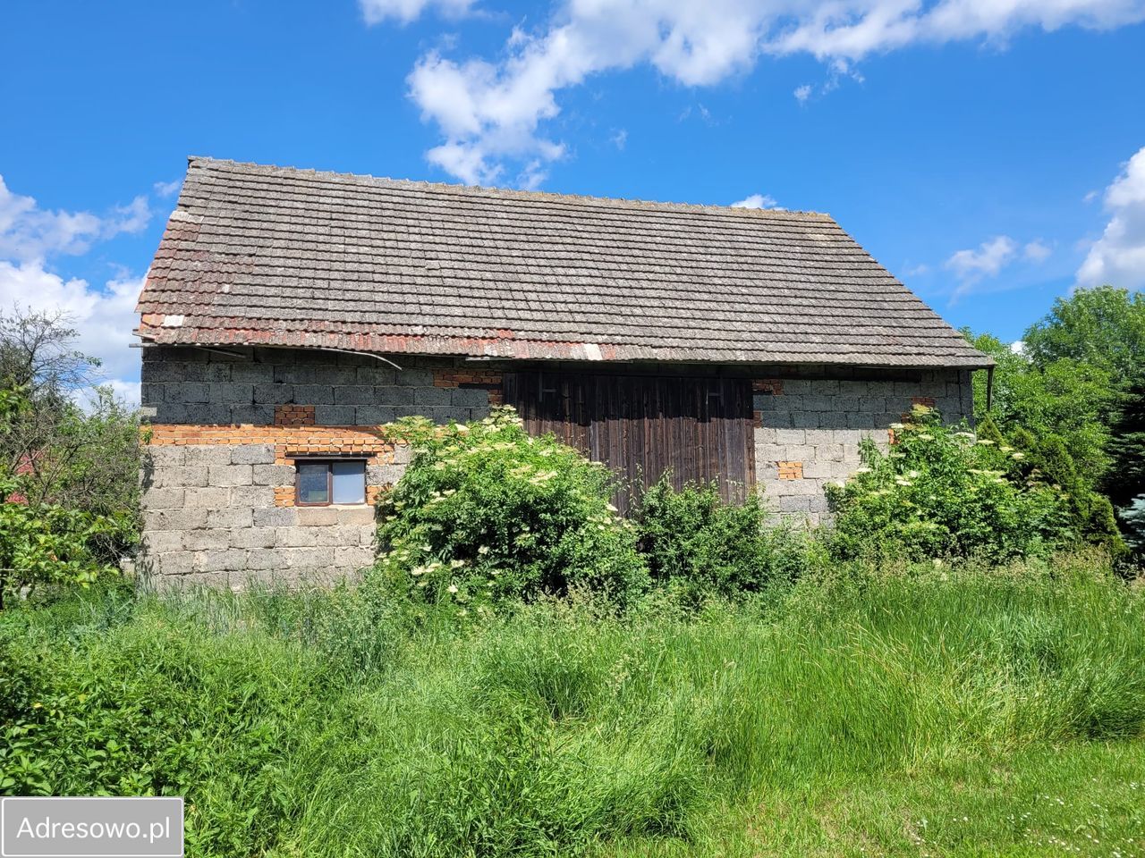 Działka siedliskowa Stoszowice. Zdjęcie 3