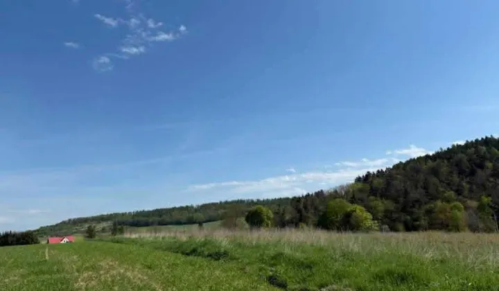 Działka rolna Raszków