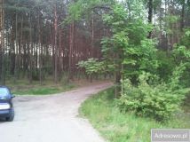 Działka rekreacyjna Zamienie. Zdjęcie 2