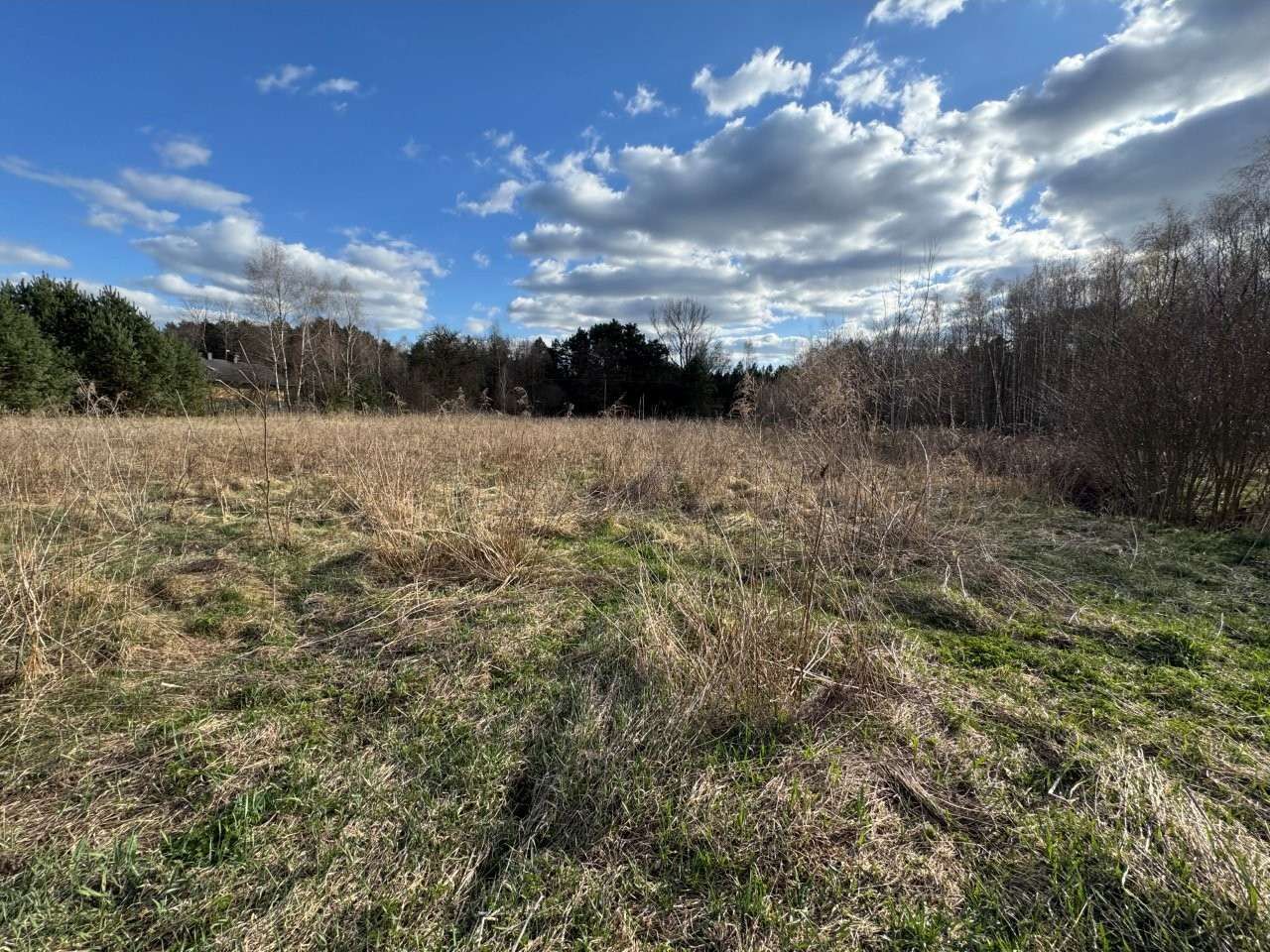 Działka budowlana Młoszów, Młoszów. Zdjęcie 6