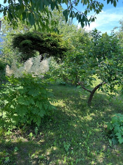 Działka rod Gdańsk Oliwa, ul. dr. Władysława Paneckiego. Zdjęcie 8