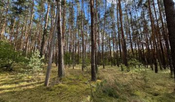 Działka leśna Dąbrówka Wielkopolska